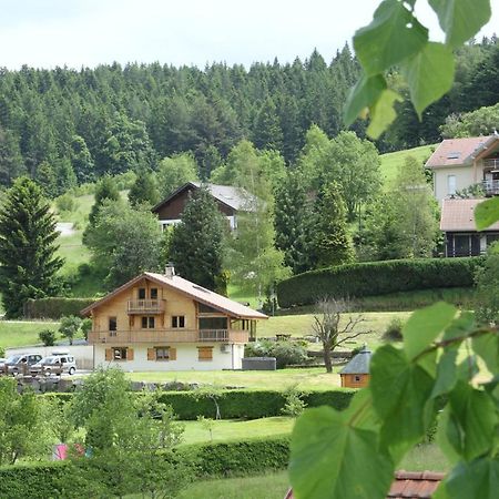 Chalet Centauree - Remy Herold Xonrupt-Longemer Dış mekan fotoğraf