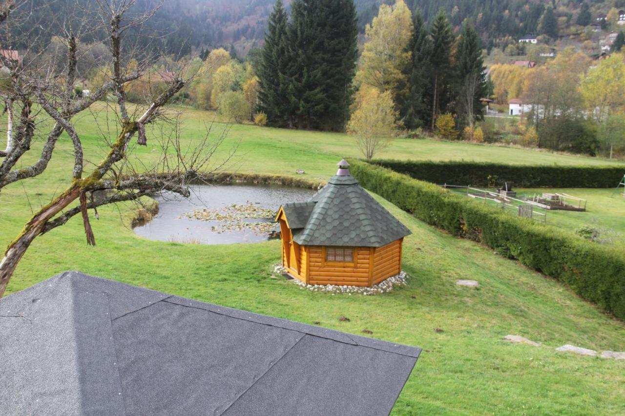 Chalet Centauree - Remy Herold Xonrupt-Longemer Dış mekan fotoğraf