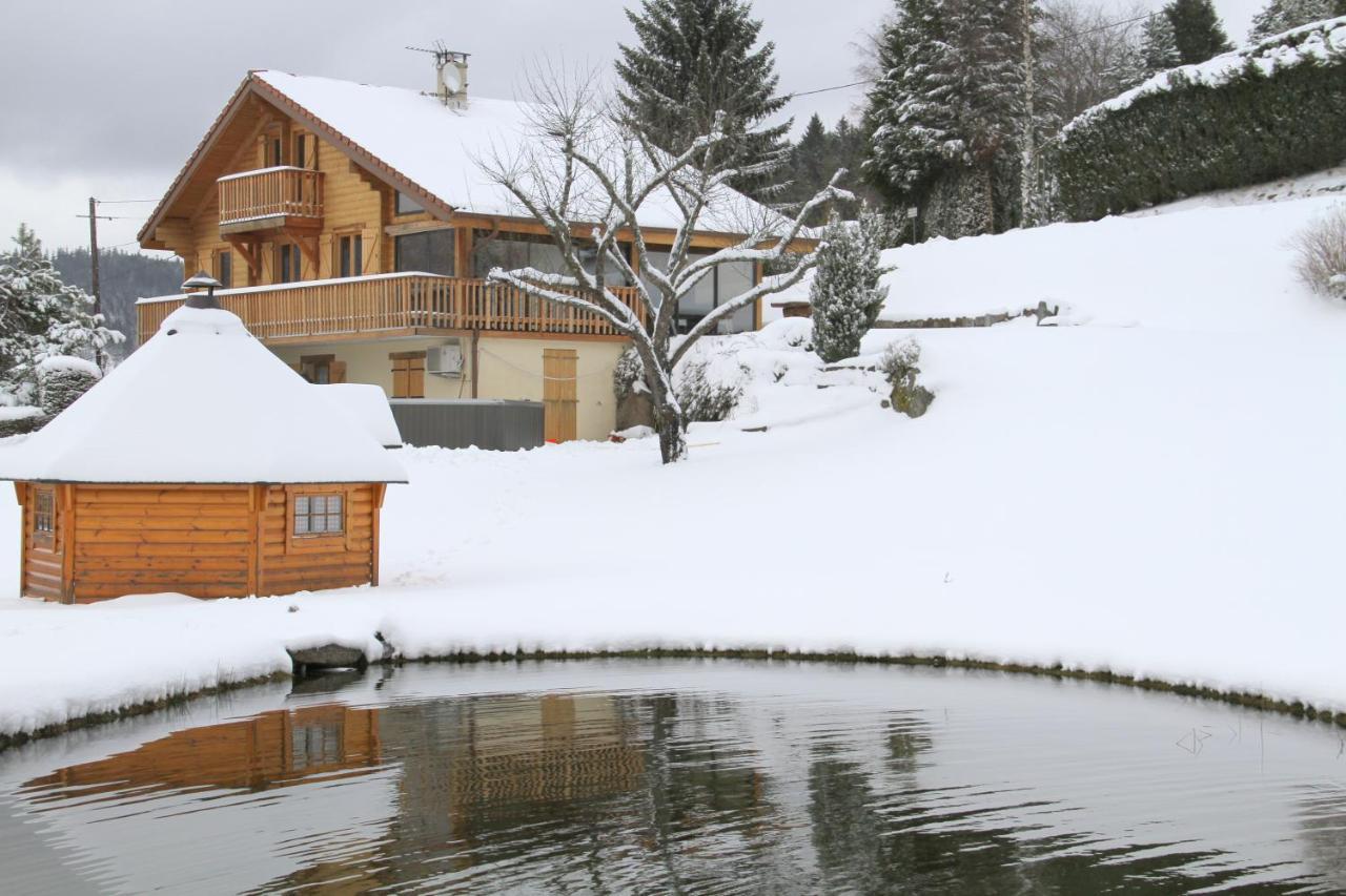 Chalet Centauree - Remy Herold Xonrupt-Longemer Dış mekan fotoğraf
