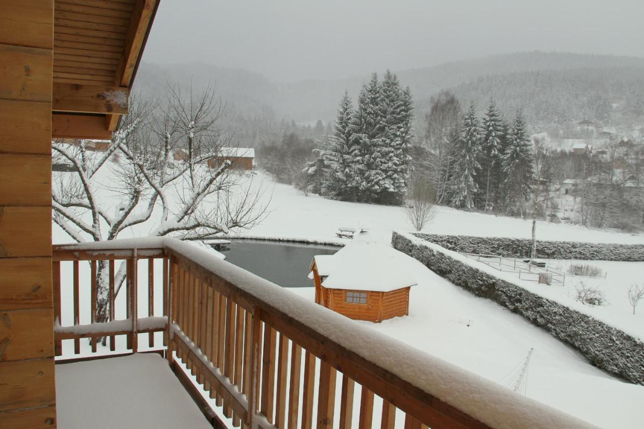 Chalet Centauree - Remy Herold Xonrupt-Longemer Dış mekan fotoğraf