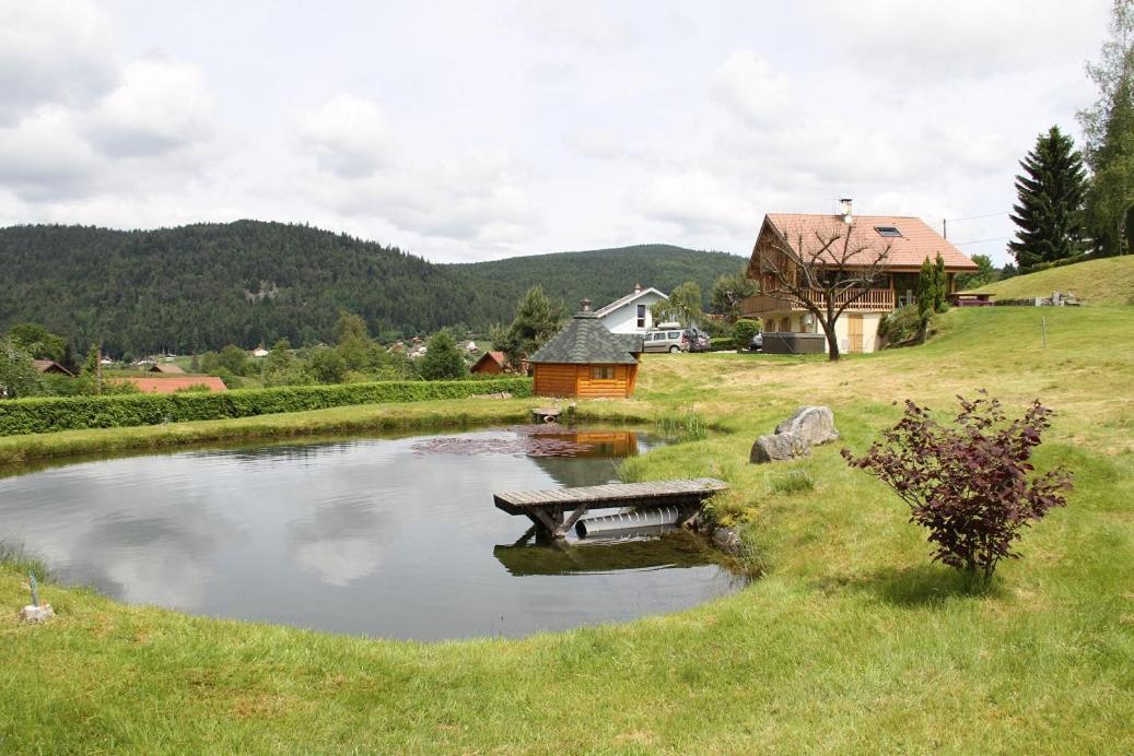 Chalet Centauree - Remy Herold Xonrupt-Longemer Dış mekan fotoğraf
