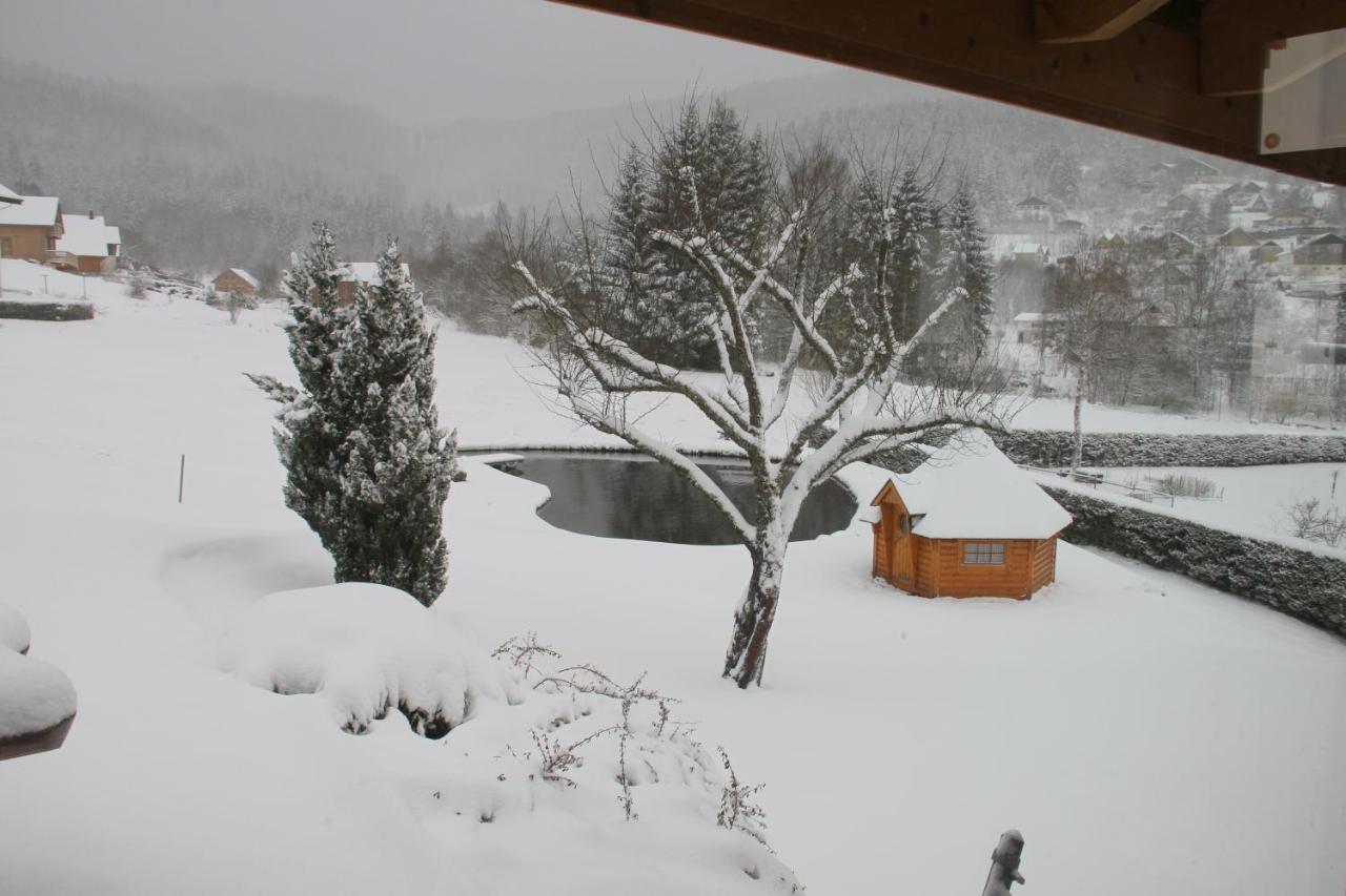 Chalet Centauree - Remy Herold Xonrupt-Longemer Dış mekan fotoğraf