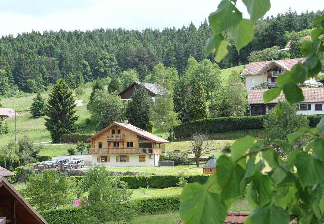 Chalet Centauree - Remy Herold Xonrupt-Longemer Dış mekan fotoğraf